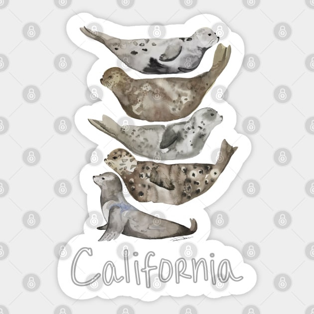 Seals of La Jolla Sticker by Limezinnias Design